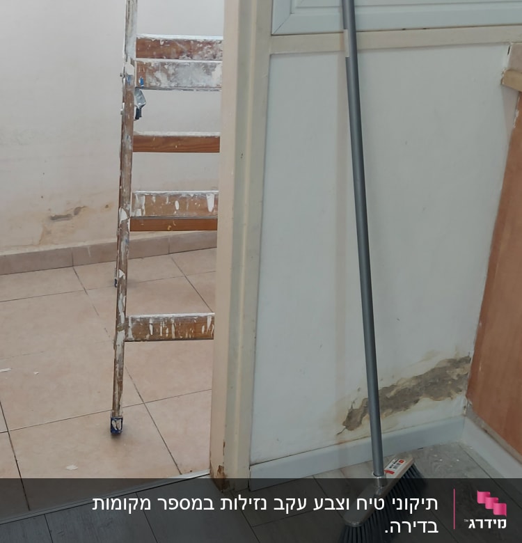 סולם עם כתמי צבע ליד קיר מתקלף